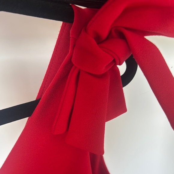 Elegant Red Sleeveless Dress - Picture 3 of 5